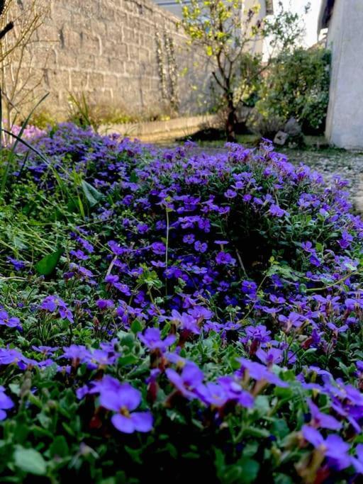 Villa Le Ni' De Jess Migennes Esterno foto